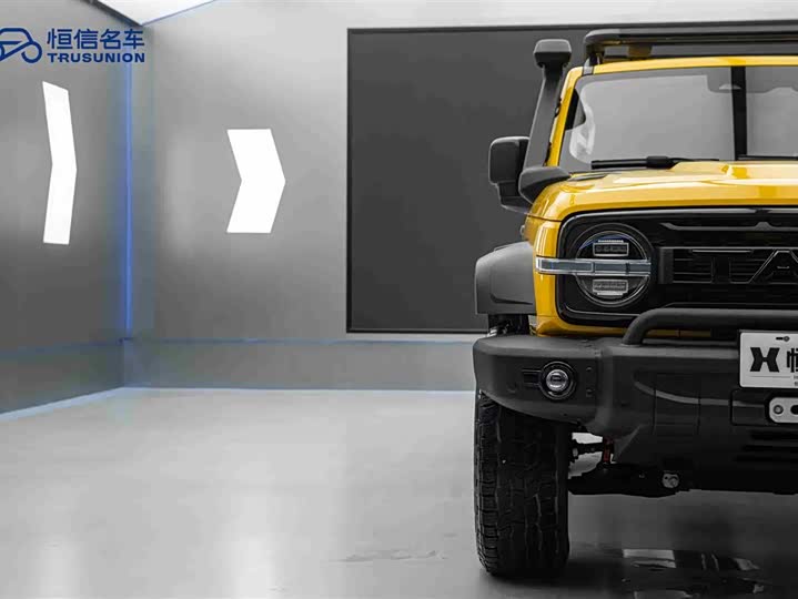 Фото 8 - Tank 300