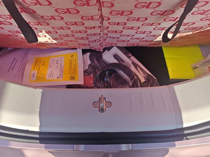 Фото 4 - Geely Galaxy Panda Mini