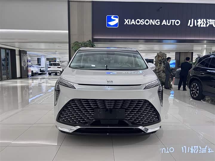 Фото 2 - Buick GL8 Century