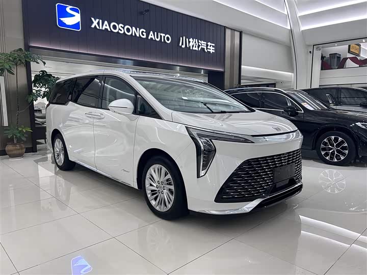 Фото 3 - Buick GL8 Century