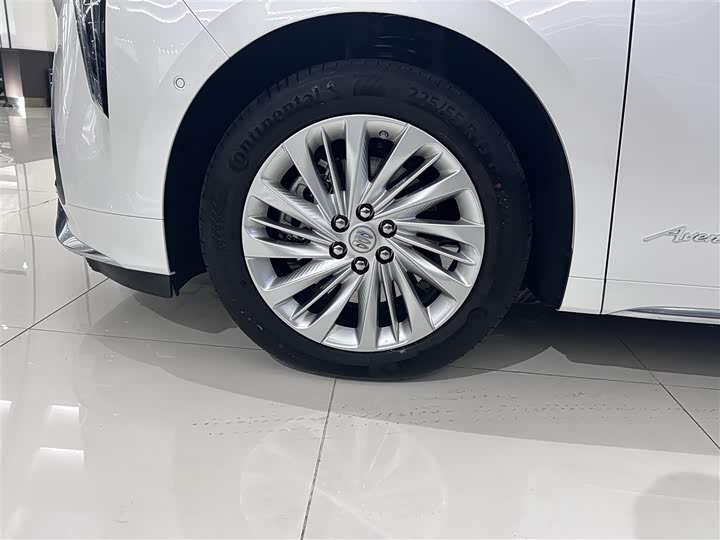 Фото 4 - Buick GL8 Century