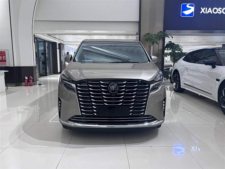 Фото 2 - Buick GL8 ES