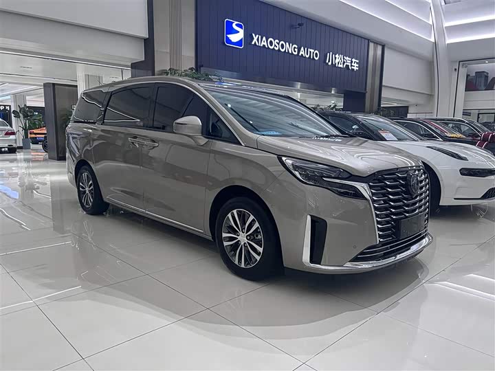 Фото 3 - Buick GL8 ES