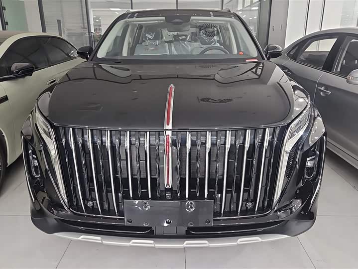 Фото 2 - Hongqi HS7 Hybrid
