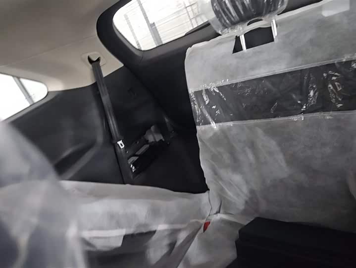 Фото 4 - Hongqi HS7 Hybrid