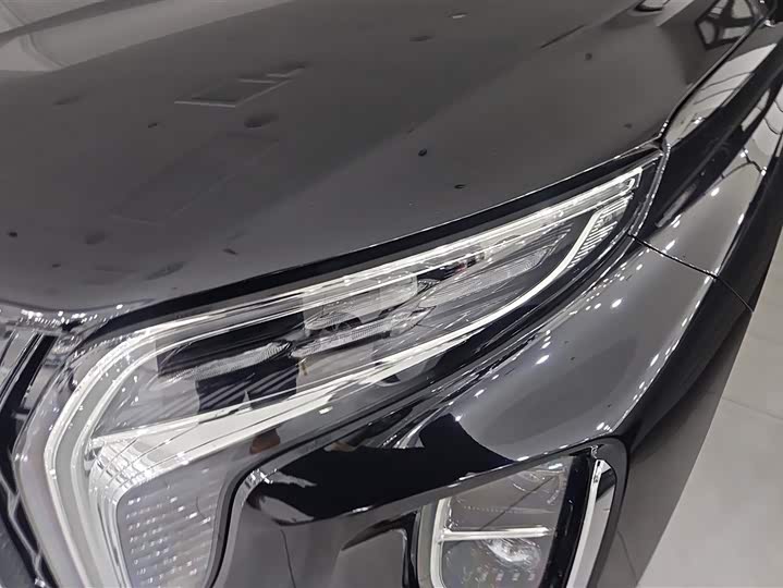 Фото 5 - Hongqi HS7 Hybrid