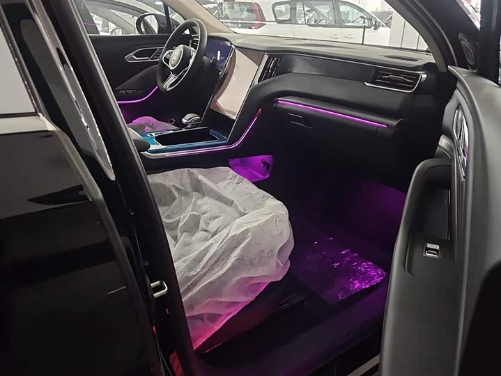 Фото 8 - Hongqi HS7 Hybrid