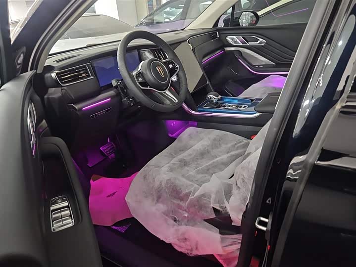 Фото 9 - Hongqi HS7 Hybrid