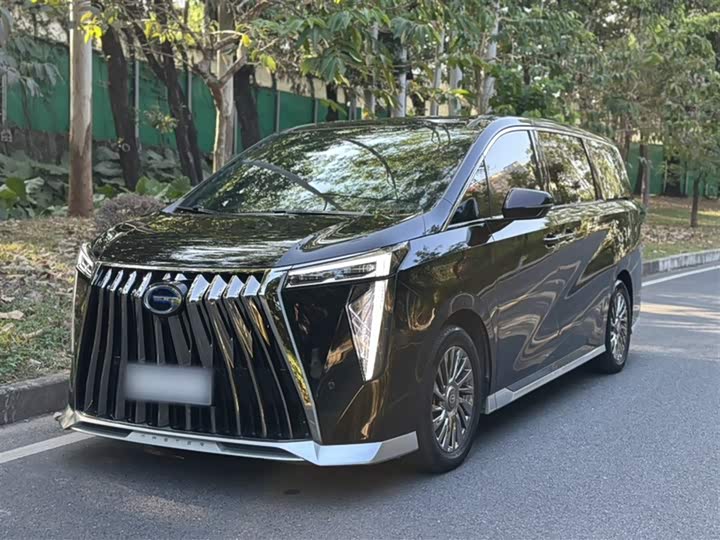 Фото 3 - GAC Trumpchi M8