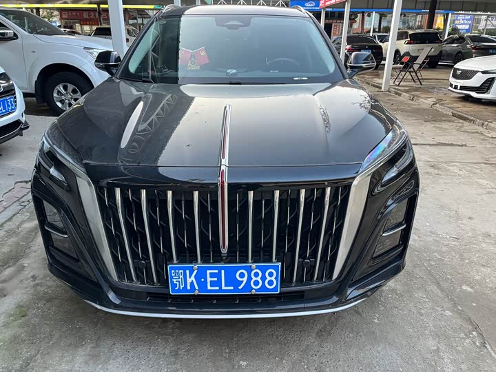 Фото 2 - Hongqi HS3