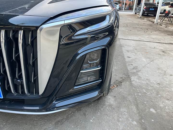 Фото 3 - Hongqi HS3