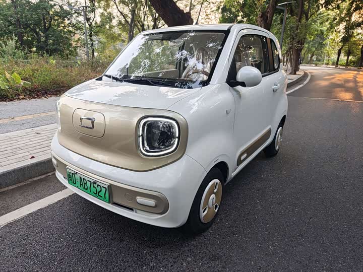 Фото 1 - Bestune Pony