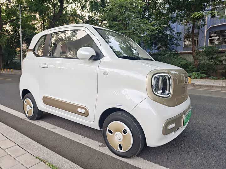 Фото 3 - Bestune Pony