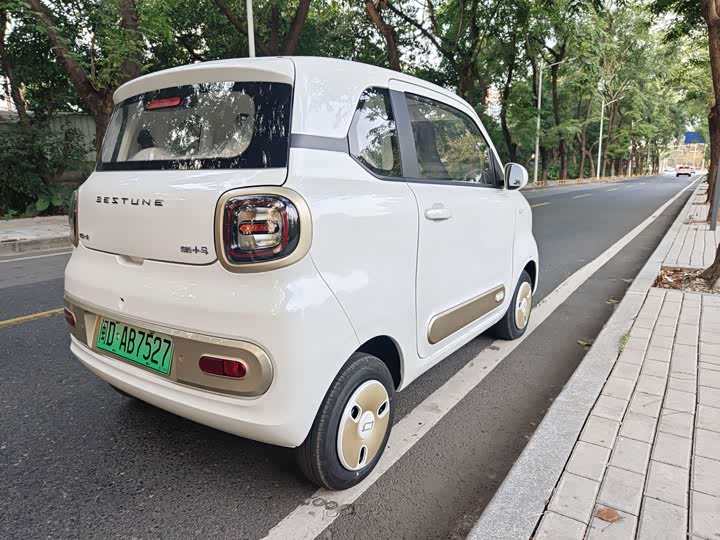 Фото 5 - Bestune Pony