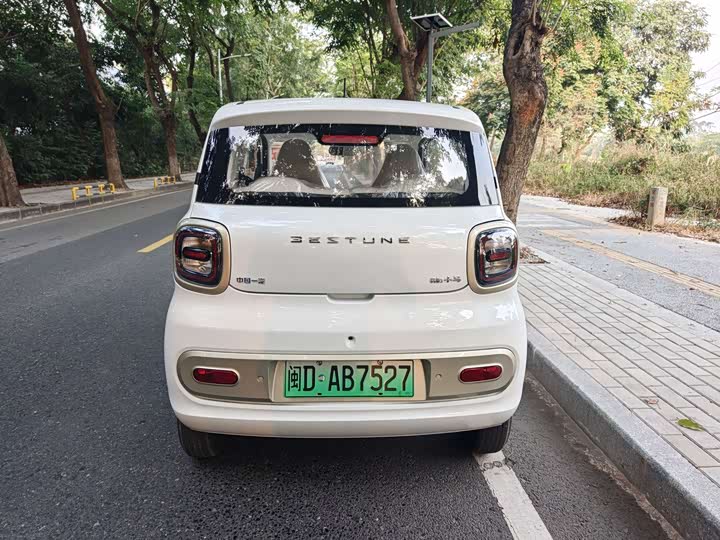 Фото 6 - Bestune Pony