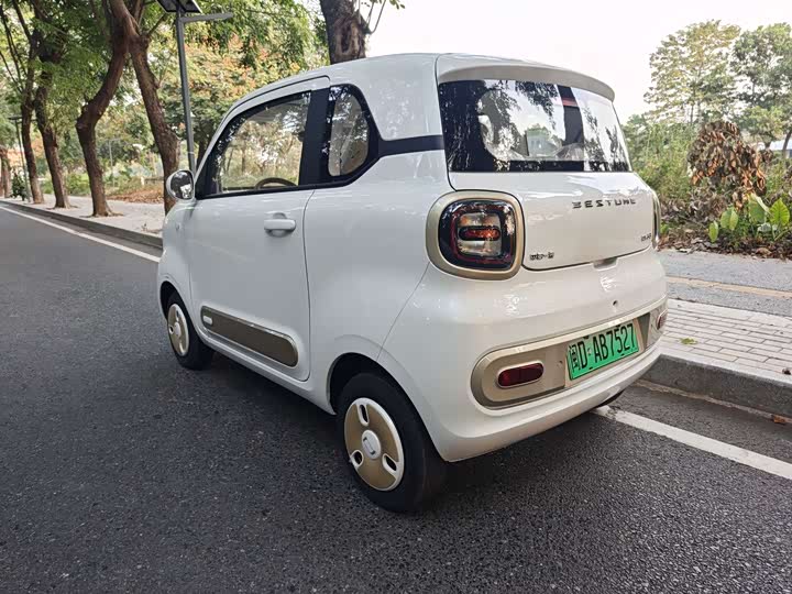 Фото 7 - Bestune Pony