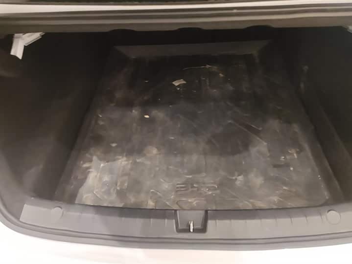 Фото 4 - BYD Qin Plus