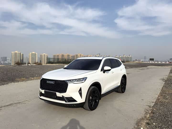 Фото 1 - Haval H6