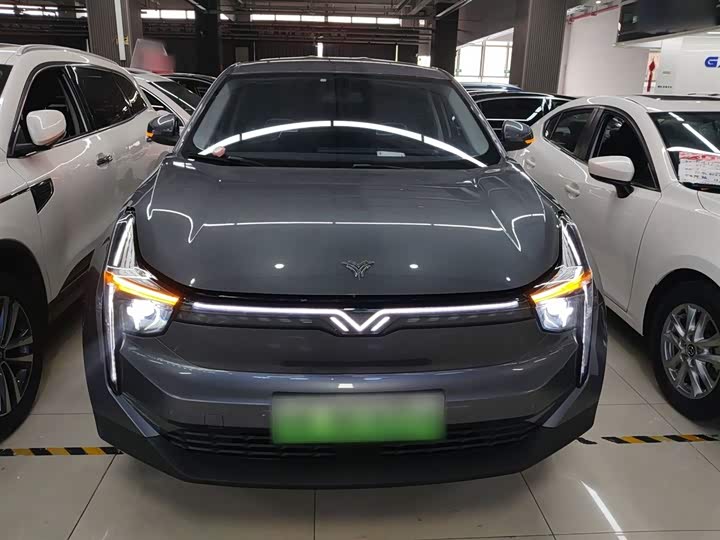 Фото 3 - Hozon U