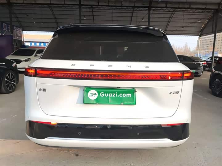 Фото 6 - XPeng G9