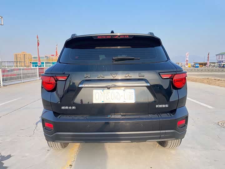 Фото 5 - Haval H-Dog