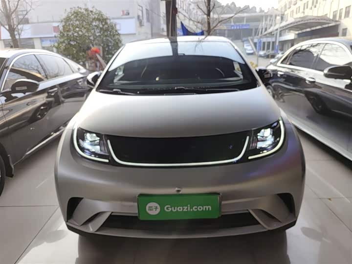 Фото 3 - BYD Dolphin