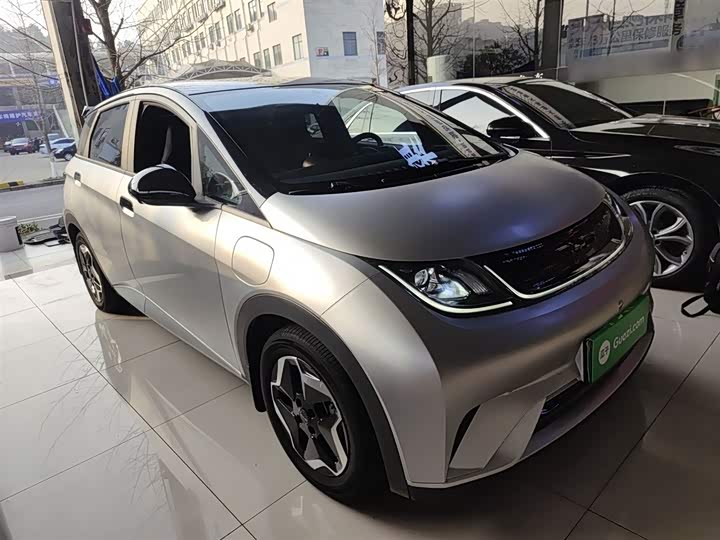 Фото 4 - BYD Dolphin