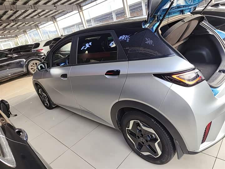 Фото 5 - BYD Dolphin