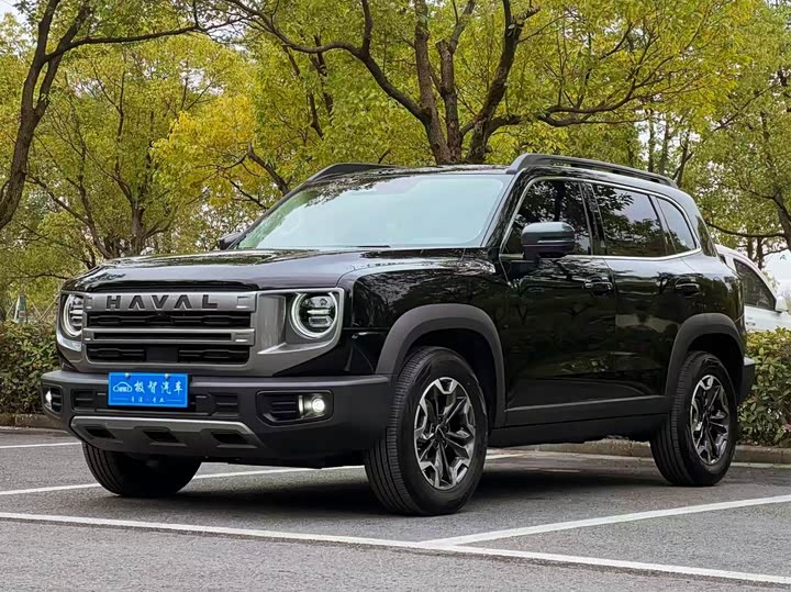 Фото 1 - Haval Dargo