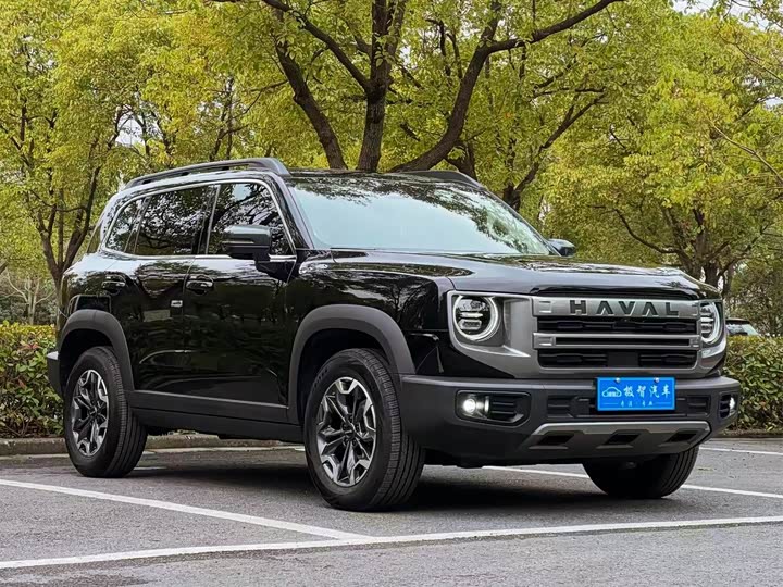 Фото 3 - Haval Dargo