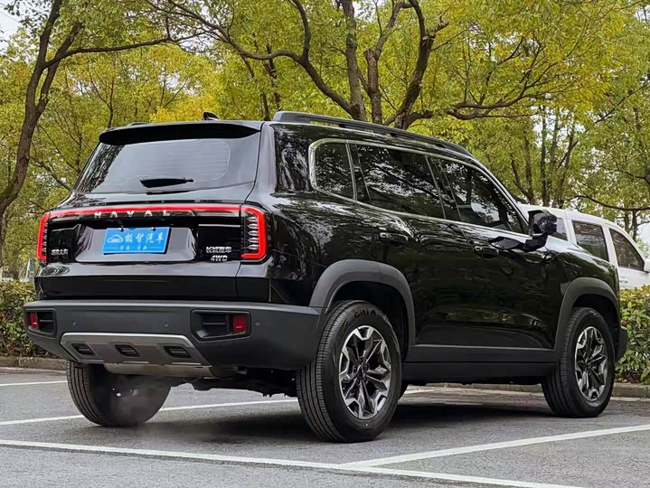 Фото 5 - Haval Dargo