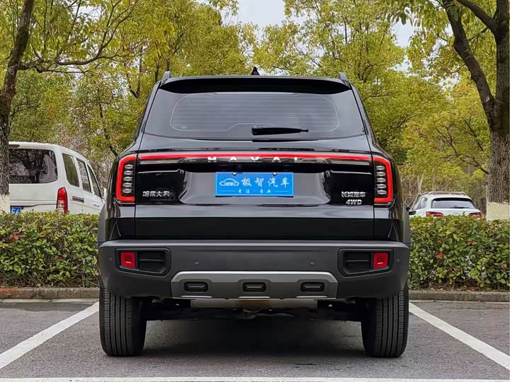 Фото 6 - Haval Dargo