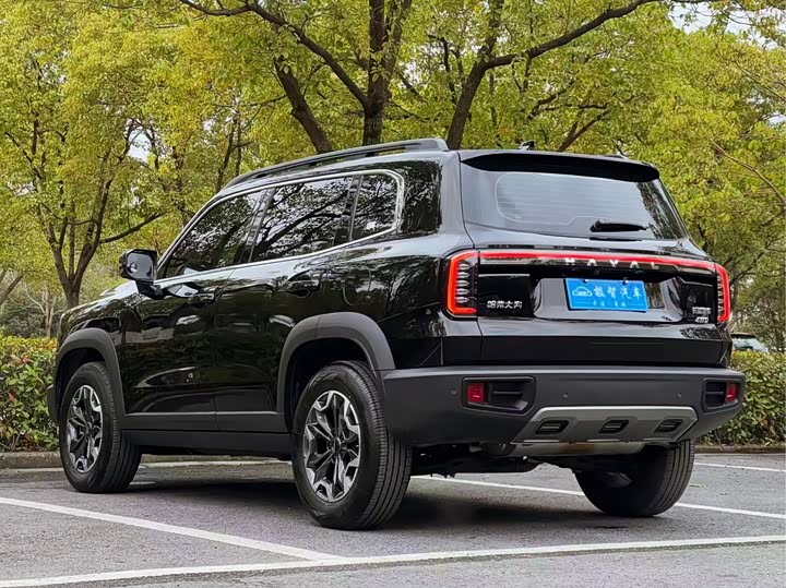 Фото 7 - Haval Dargo