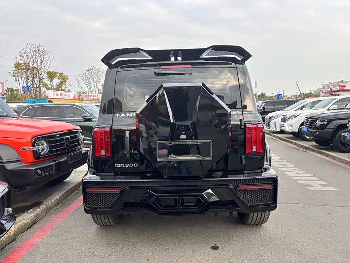 Фото 5 - Tank 300