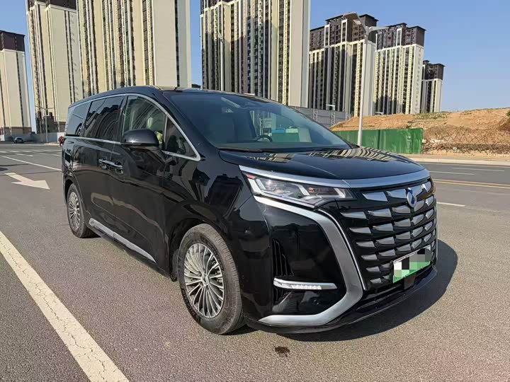 Фото 1 - Denza D9