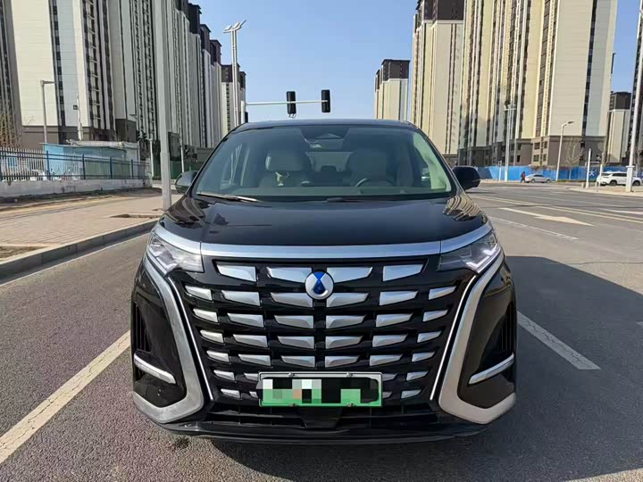 Фото 2 - Denza D9