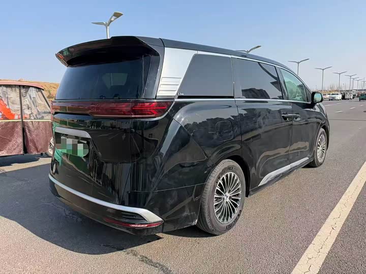 Фото 4 - Denza D9