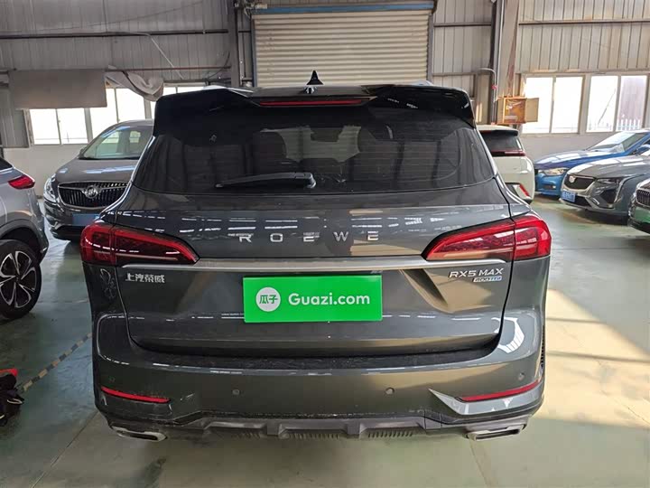 Фото 6 - Roewe RX5 Max