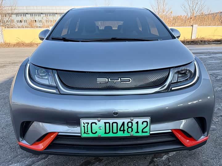 Фото 2 - BYD Dolphin