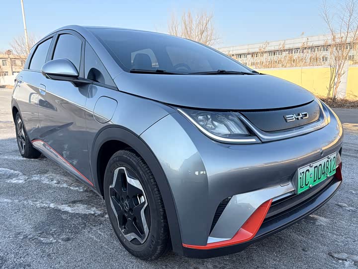 Фото 3 - BYD Dolphin