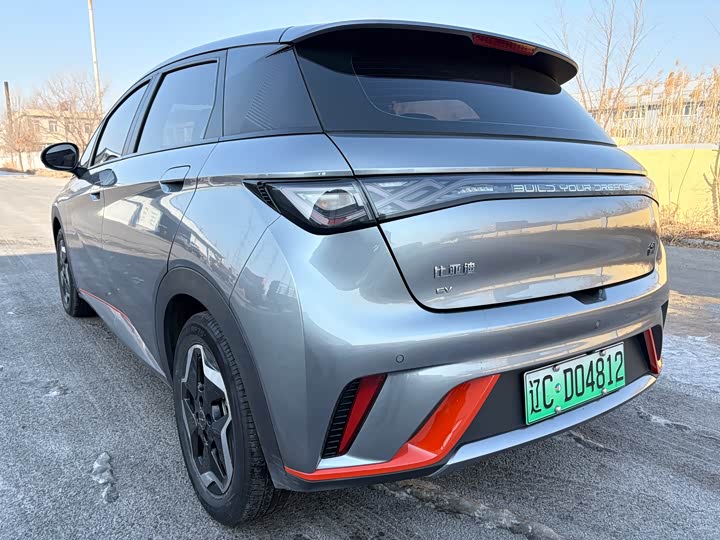 Фото 4 - BYD Dolphin