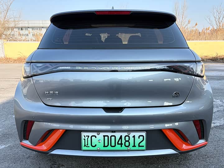 Фото 5 - BYD Dolphin