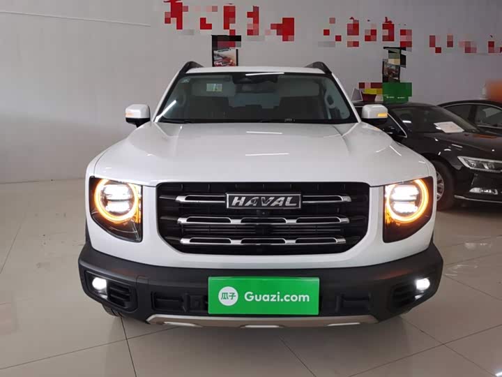Фото 3 - Haval Dargo