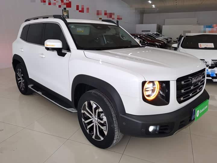 Фото 4 - Haval Dargo