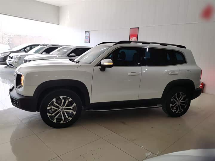 Фото 5 - Haval Dargo