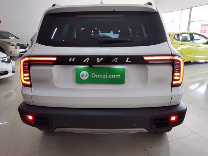 Фото 6 - Haval Dargo