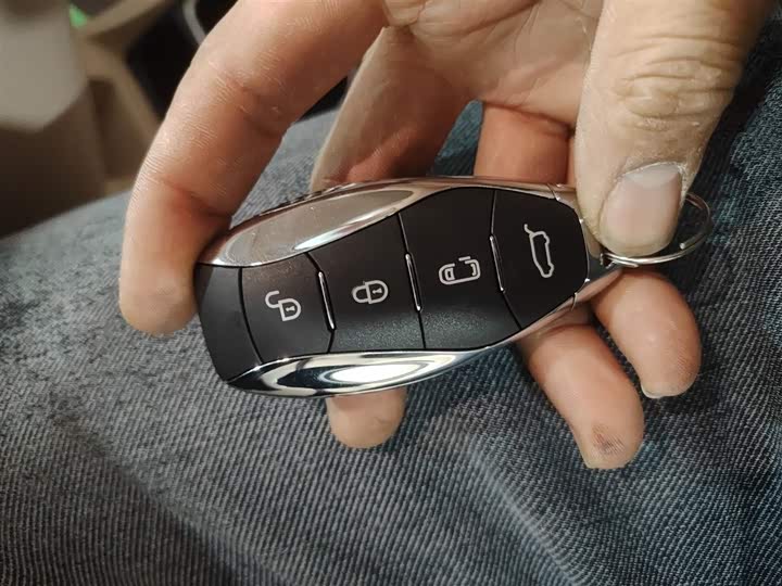 Фото 9 - Hongqi HQ9 Hybrid