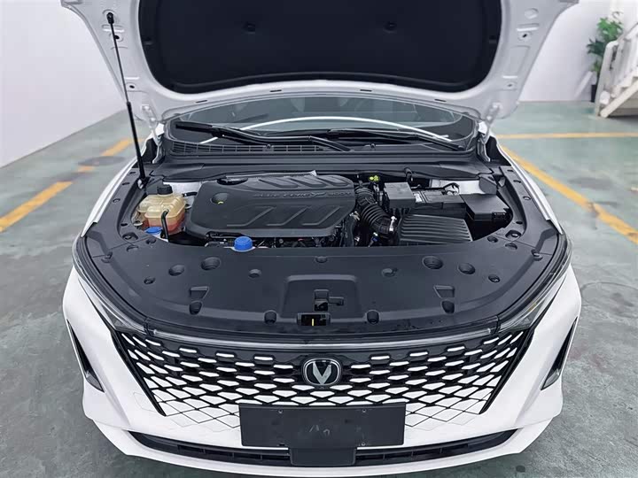 Фото 2 - Changan Raeton Plus