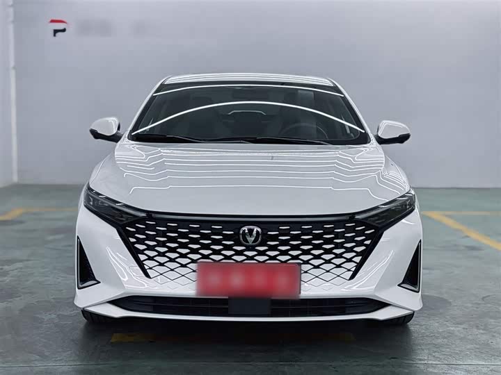 Фото 6 - Changan Raeton Plus