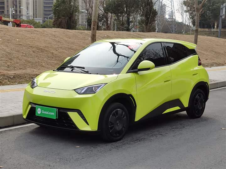 Фото 2 - BYD Seagull